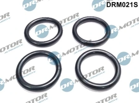 DRM021S Lizarte