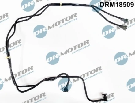 DRM18509 Lizarte