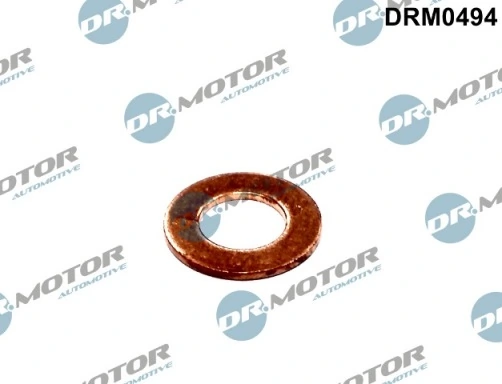 DRM0494 Lizarte
