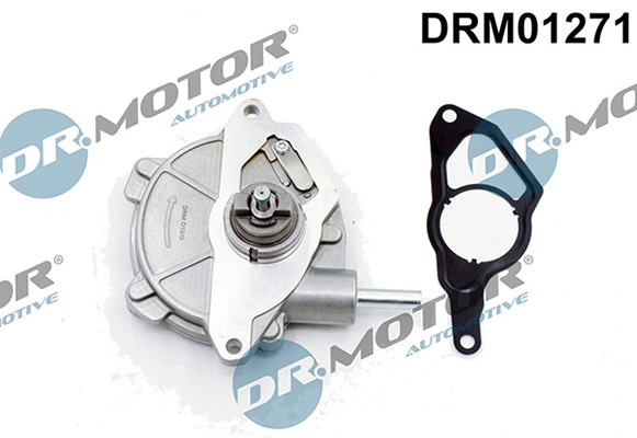 DRM01271 Lizarte