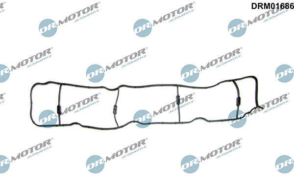 DRM01686 Lizarte