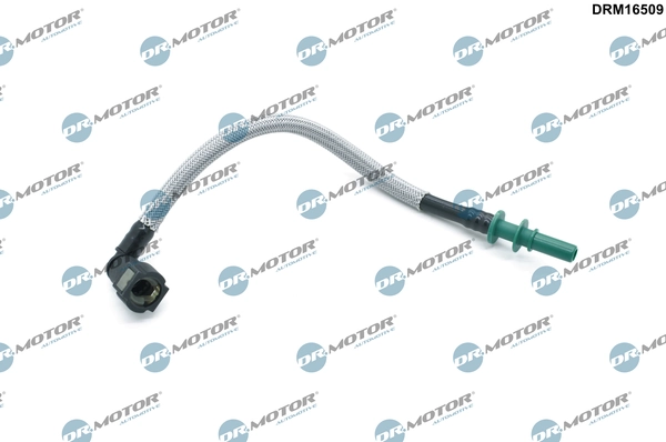 DRM16509 Lizarte