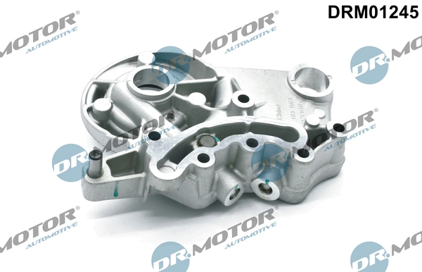 DRM01245 Lizarte