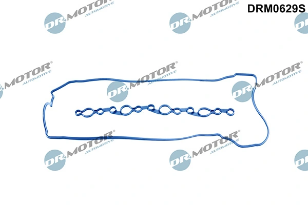 DRM0629S Lizarte