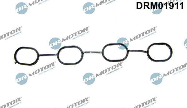 DRM01911 Lizarte
