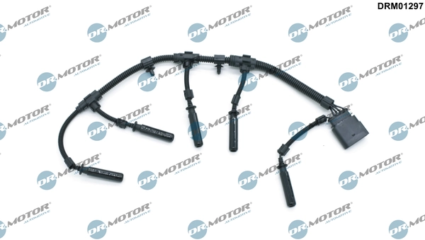 DRM01297 Lizarte