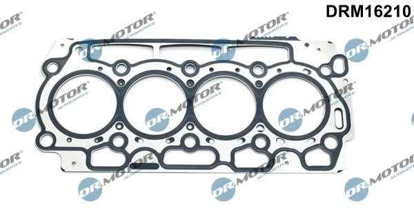 DRM16210 Lizarte