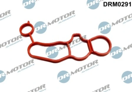 DRM0291 Lizarte