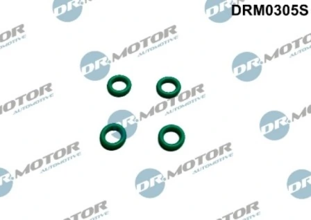 DRM0305S Lizarte