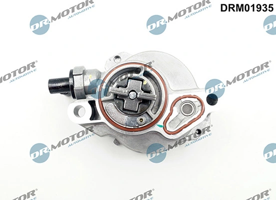 DRM01935 Lizarte