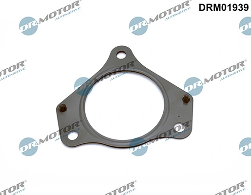 DRM01939 Lizarte