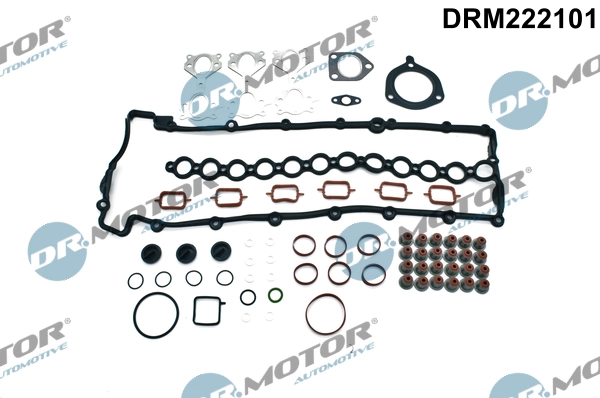 DRM222101 Lizarte