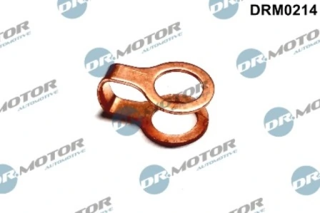 DRM0214 Lizarte