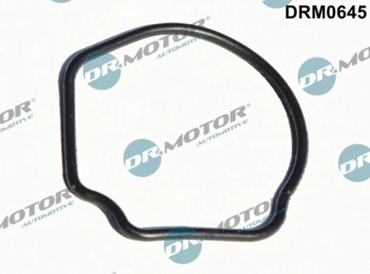 DRM0645 Lizarte