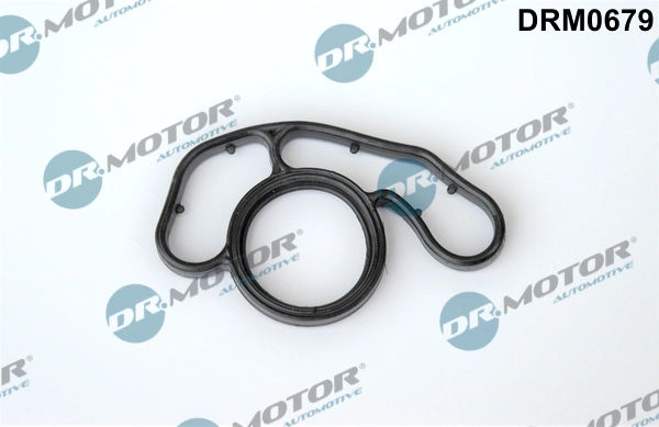 DRM0679 Lizarte