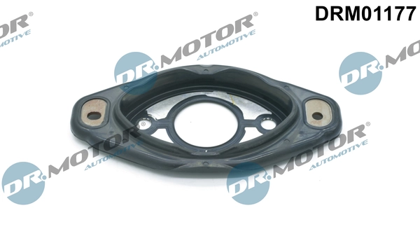 DRM01177 Lizarte