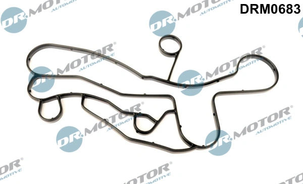 DRM0683 Lizarte