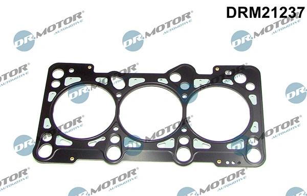 DRM21237 Lizarte