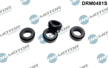 DRM0481S Lizarte