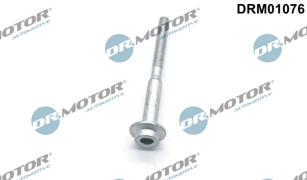 DRM01076 Lizarte
