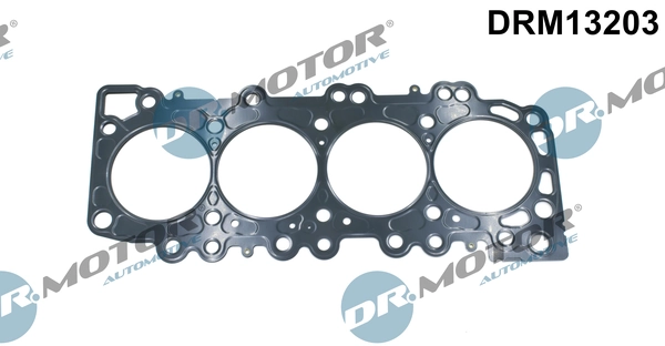 DRM13203 Lizarte