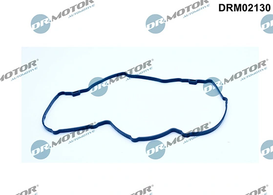 DRM02130 Lizarte