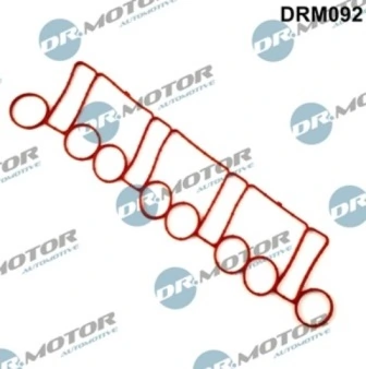 DRM092 Lizarte