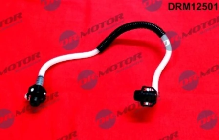 DRM12501 Lizarte