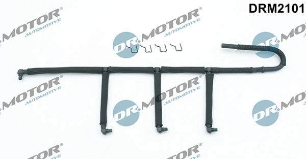 DRM2101 Lizarte