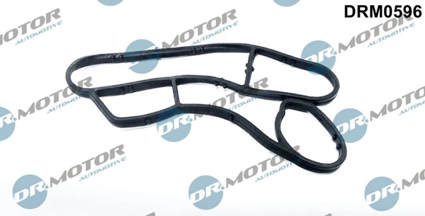 DRM0596 Lizarte