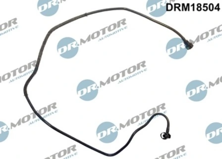 DRM18504 Lizarte