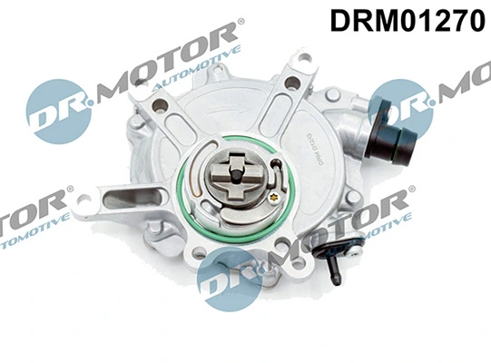 DRM01270 Lizarte
