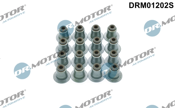 DRM01202S Lizarte