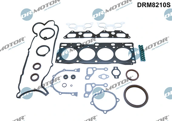 DRM8210S Lizarte