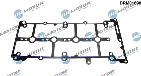 DRM01698 Lizarte