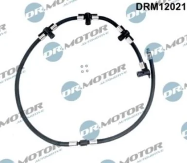 DRM12021 Lizarte