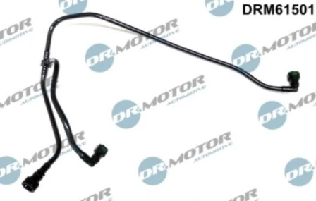 DRM61501 Lizarte