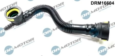DRM16604 Lizarte