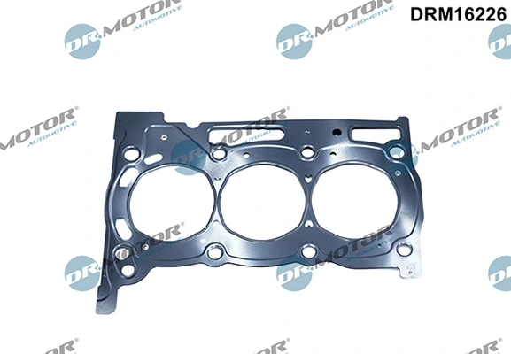 DRM16226 Lizarte