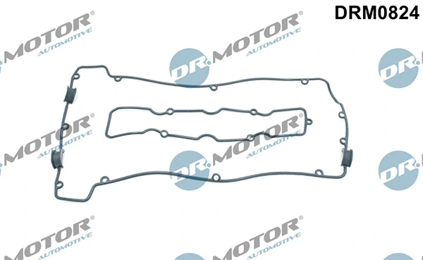 DRM0824 Lizarte
