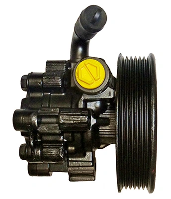  Bomba da Direção hidrâulica assistida Chevrolet Captiva II SUV (C140) (2011 - 2026) II