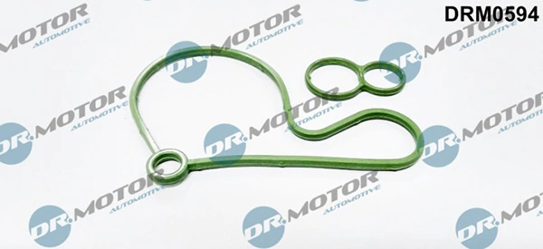 DRM0594 Lizarte