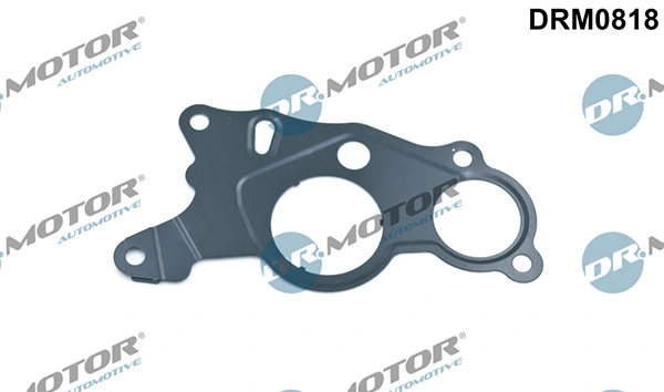 DRM0818 Lizarte