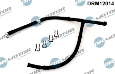 DRM12014 Lizarte