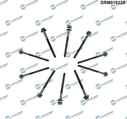 DRM01832S Lizarte