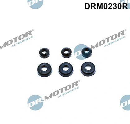 DRM0230R Lizarte
