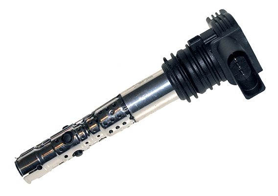 BOBEN012 Lizarte