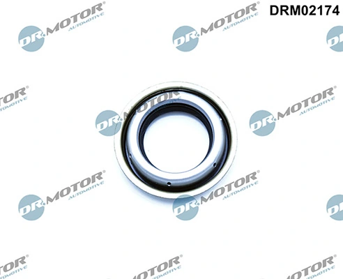 DRM02174 Lizarte