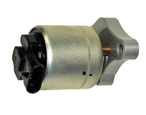 EGR011 Lizarte