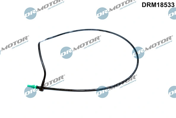 DRM18533 Lizarte